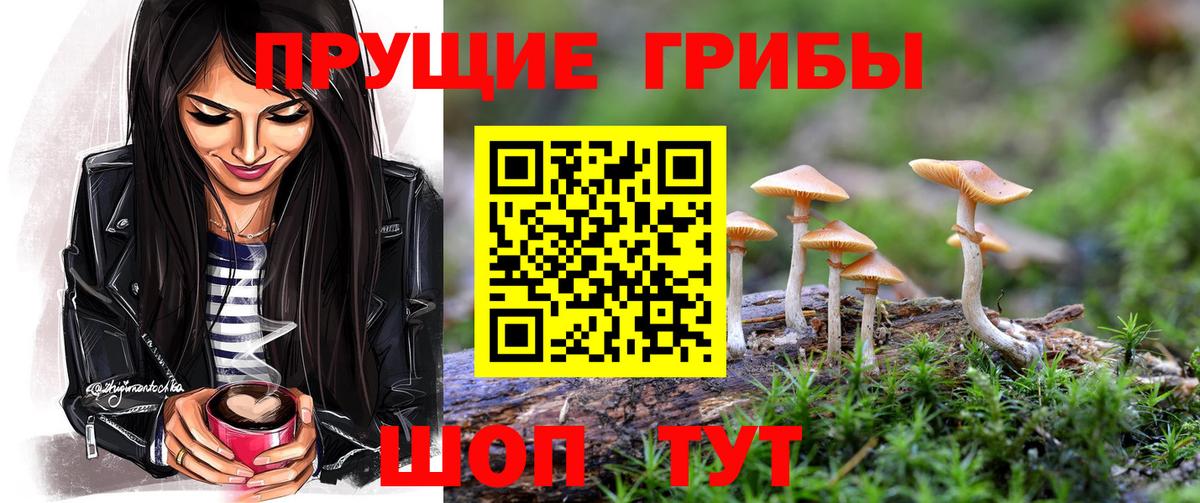 Псилоцибиновые грибы мицелий Троицк
