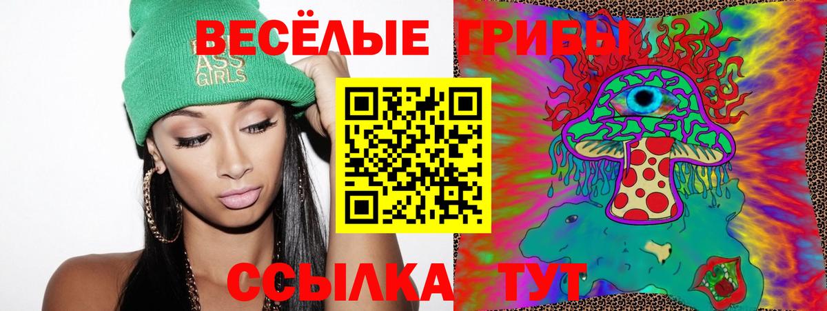 Троицк  Псилоцибиновые грибы MAGIC MUSHROOMS  Вход с VPN 